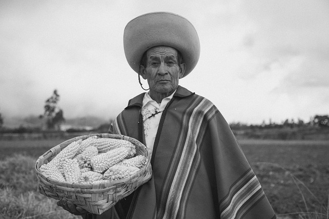 Exploring the Cultural Pulse of Edmonton: A Journey Through Local Traditions