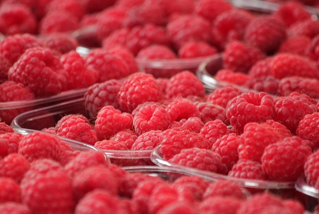 The Timeless Charm of The Old Strathcona Farmers’ Market